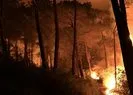 Muğla'da 4 farklı bölgede yangın kontrol altına alındı