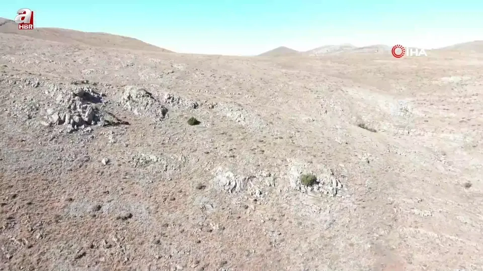 Kaybolan 13 koyun jandarma ekiplerince dağda bulundu