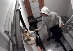 Montunu çuval yapan hırsız 8 çift ayakkabı çaldı