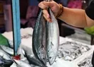 Kiloluk palamut 40 lira! Limanda kuyruk