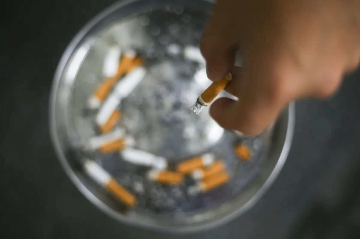 Sigarada 'tek tip paket' uygulaması yaygınlaşıyor