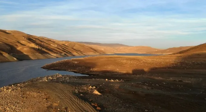 Zebra midyeler Türkiye’yi 10 yılda istila etti, balıkçılık için büyük sorun olacak - 4