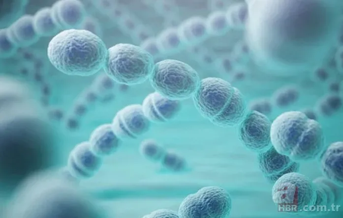 Koronavirüsten sonra dünyayı bekleyen tehlike! Bilim insanlarının araştırması korkuttu: Et yiyen mikroplar 6