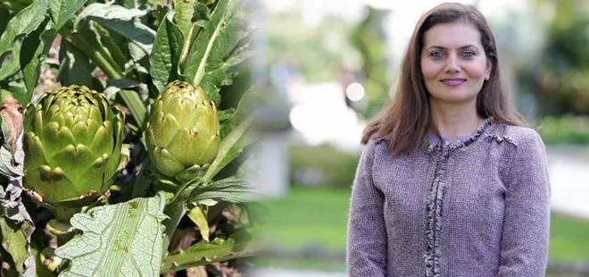 DİYET YAPANLARIN VAZGEÇİLMEZ GIDASI