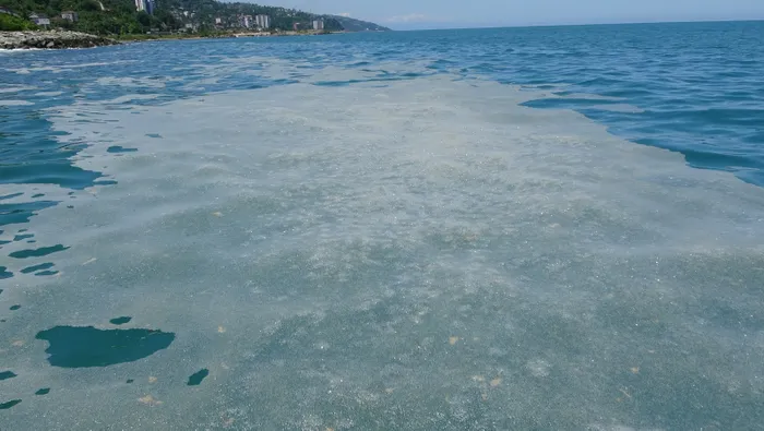 Karadeniz’deki kirlilikte ’müsilaj’ endişesi! Alarma geçiren görüntü: Numune alındı