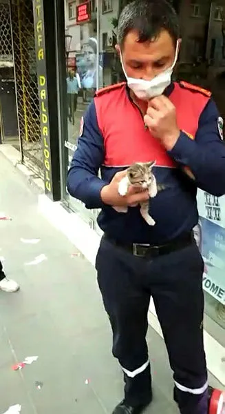 Kırıkkale'de reklam tabelasında mahsur kalan yavru kediyi itfaiye kurtardı - 2