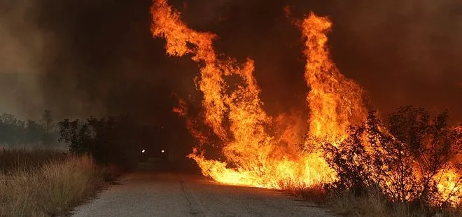 Yunanistan 16 gündür cayır cayır yanıyor!