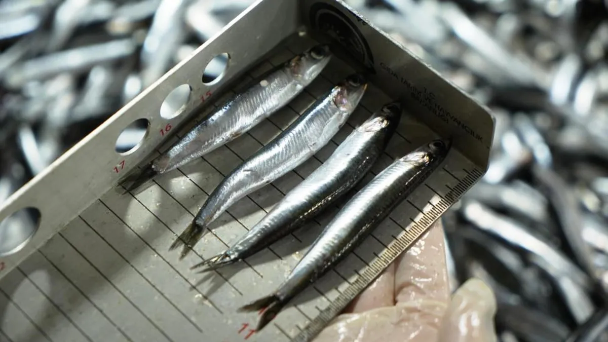 Avcılık denetimlerinde ceza yağdı: 2,6 milyon TL'yi aştı