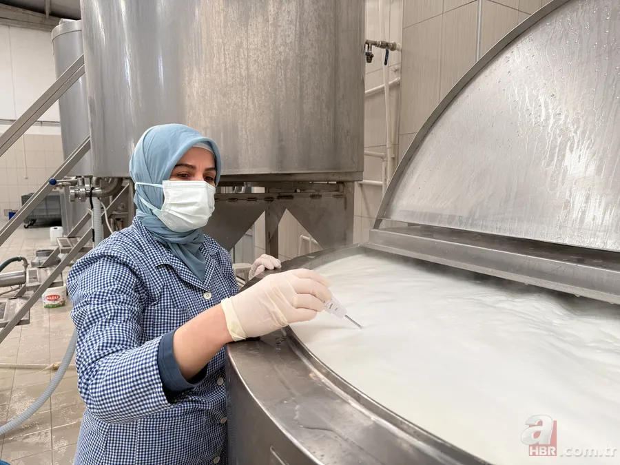 200 litreden 7 tona uzanan dev yolculuk: Sofraların lezzeti onlara emanet 7