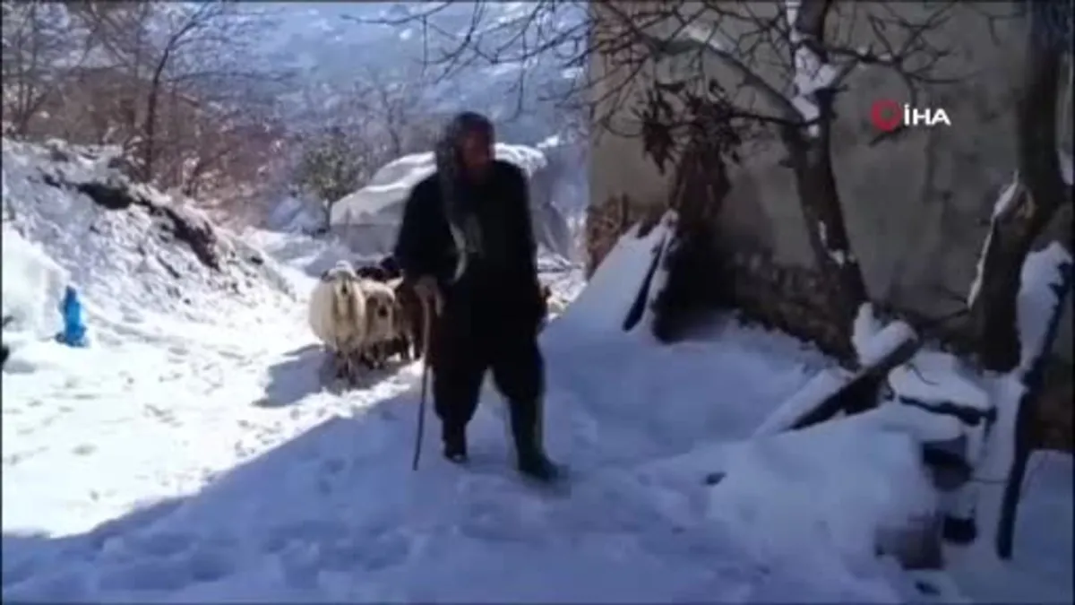 Van Bahçesaraylı vatandaşların zorlu kış mesaisi başladı