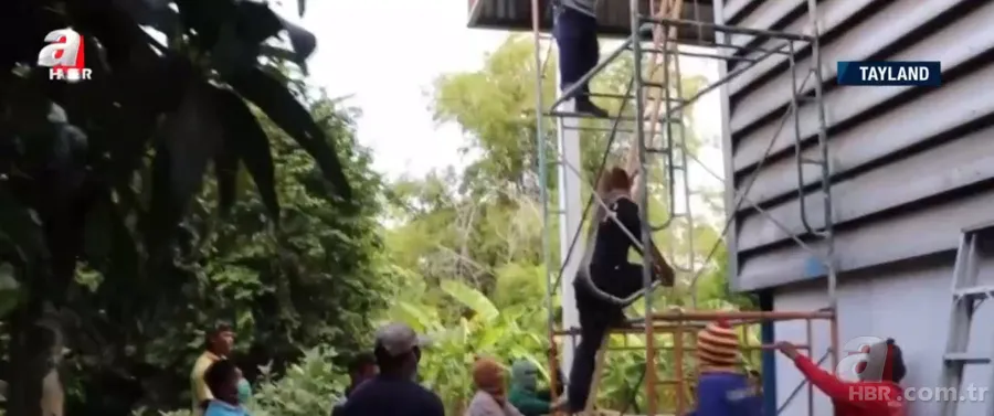 Fabrikada dev piton paniği! Yılan avcısı genç kadın... 16