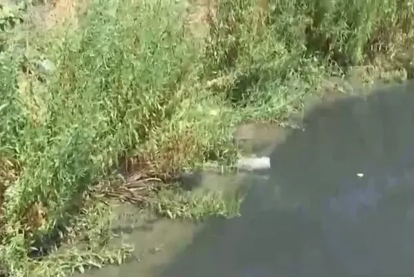 CHP’li İBB’nin sorumluluğundaki Sadabat Deresi neden kirli akıyor?