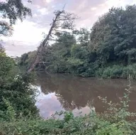 Cennet Riva ölüyor! 27 aydır Ekrem İmamoğlu’nun keyfini bekliyor