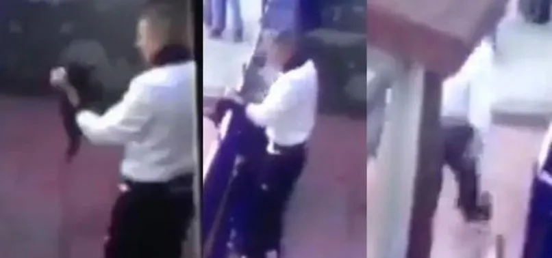 Kediye yapılan işkenceye soruşturma