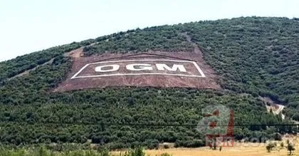 Orman Genel Müdürlüğü OGM 5 bin personel alımı ne zaman, başvuru şartları neler?