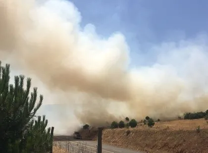 Kahramanmaraş’taki orman yangınının nedeni ortaya çıktı! Torpil şakası 80 hektarı küle döndürdü