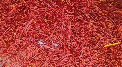 Türkiye’de bir ilk! Kilosu 450 bin TL, gram gram satılıyor: Bir avuç fiyatı şaşkına çeviriyor