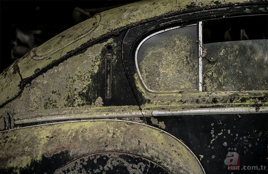 Corvette marka arabalar çürümeye terkedilmiş halde bulundu 🚗 23