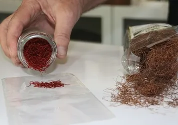 Türkiye'de yetişiyor kilosu 250 bin liraya satılıyor! Sahtesini de yaptılar