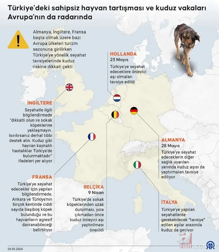 Hayvan istismarcılarının örtmek istediği gerçek! İşte 2019-2024 yılları arasında gerçekleşen sokak köpeği saldırıları 7