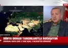 ABD Rusya Kanada yanıyor! Afrika’nın yarısı yandı