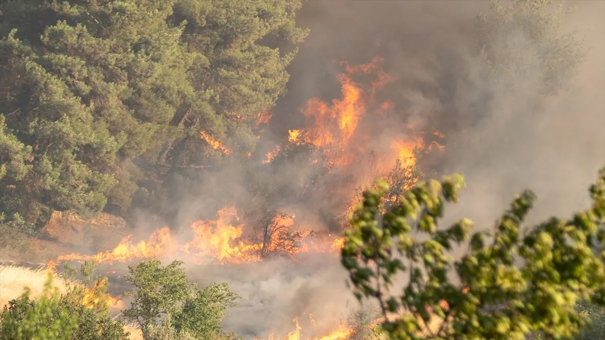 Alevlerle mücadele sürüyor