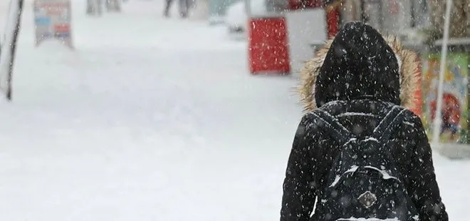 Son dakika: Van’da okullara bir gün kar tatili