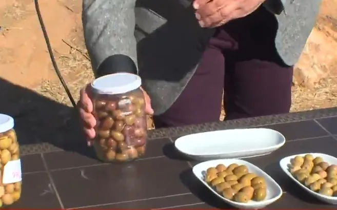 Bu zeytinin kilosu 5 bin lira!
