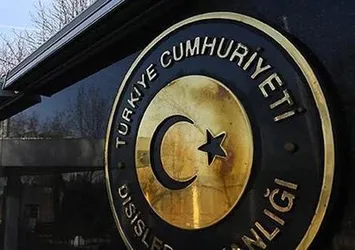 Dışişleri'nden AP açıklaması: Memnun olduk