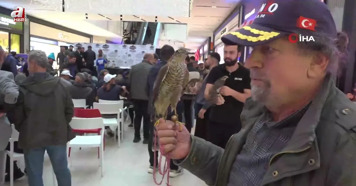 AVM'de en güzel atmacalar yarıştı