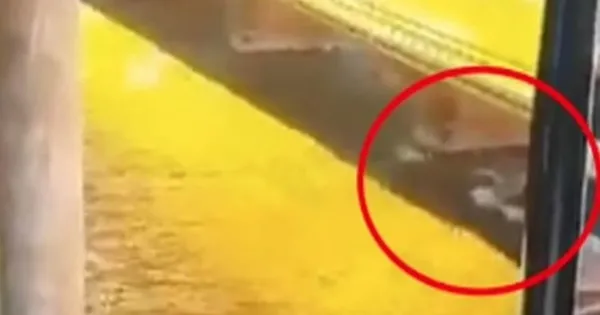 1665660726670.jpg Kırım Köprüsü'ndeki patlamadan dünyayı ayağa kaldıracak görüntü! ABD'nin sualtı drone'u mu? - 4
