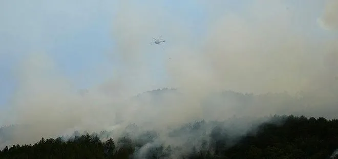 Kastamonu'da yıldırım düştü orman yangını çıktı! Ekipler seferber oldu
