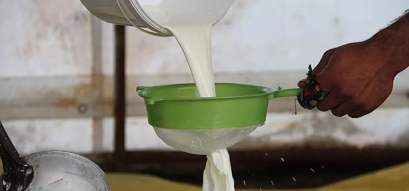 Litre başına 7,50 lira kazandıracak! Üreticiler dikkat! 1 Ekim itibarıyla başlıyor... Süt fiyatları değişecek