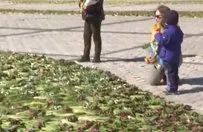 Kiev’in merkeze çiçeklerle Ukrayna ordusunun arması işlendi