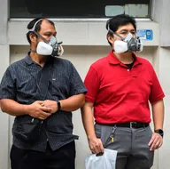 Vebadan domuz gribine kadar... İşte Avrupayı kasıp kavuran hastalıklar