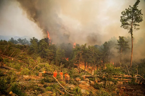 son-dakika-haberi-manavgattaki-yangini-cikaran-16-yasindaki-sahis-tutuklandi-1628009760326.jpg Son dakika haberi: Manavgat'taki yangını çıkaran 16 yaşındaki şahıs tutuklandı - 2