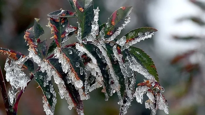 istanbula-pes-pese-uyari-kar-geri-mi-geliyor-sicakliklar-22-derece-birden-dusecek-1742033690642.jpg Meteoroloji'den kar ve sağanak uyarısı geldi (AA)