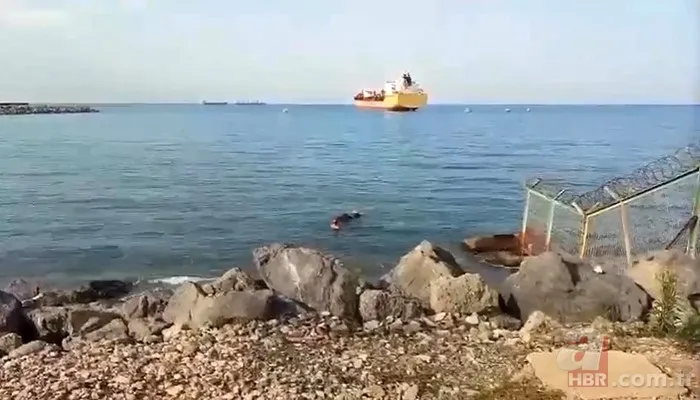 Gemiden kaçıp denize düştü! Balıkçı ağına takılan görenleri şoke etti 7