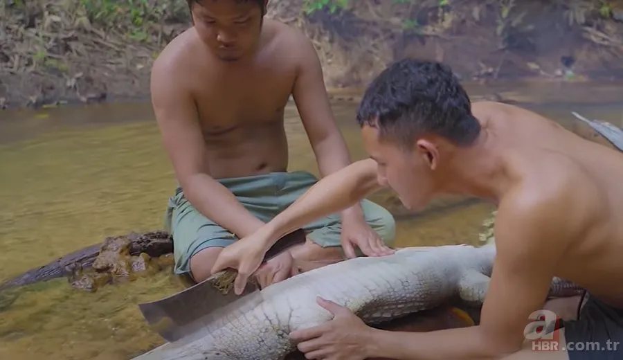 Hayatta kalmak için avladıkları timsahın karnından çıkanlar şoke etti! Mide bulandıran görüntü 18