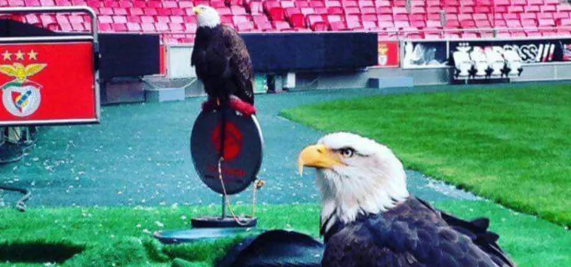 Benfica'dan Beşiktaş'a büyük jest