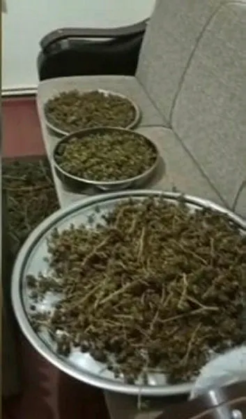 1666682306465.jpg Beykoz'da mahalleden gelen koku polis harekete geçirdi! Zehir taciri yakalandı - 1