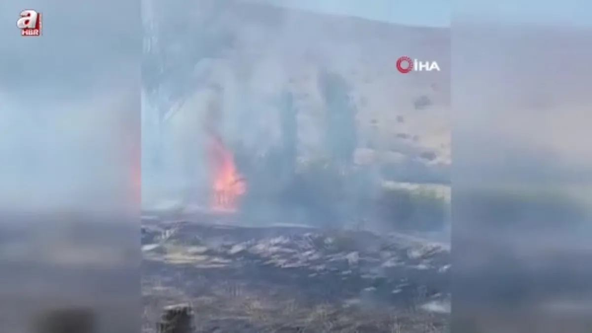 Elazığ’da otluk alanda yangın