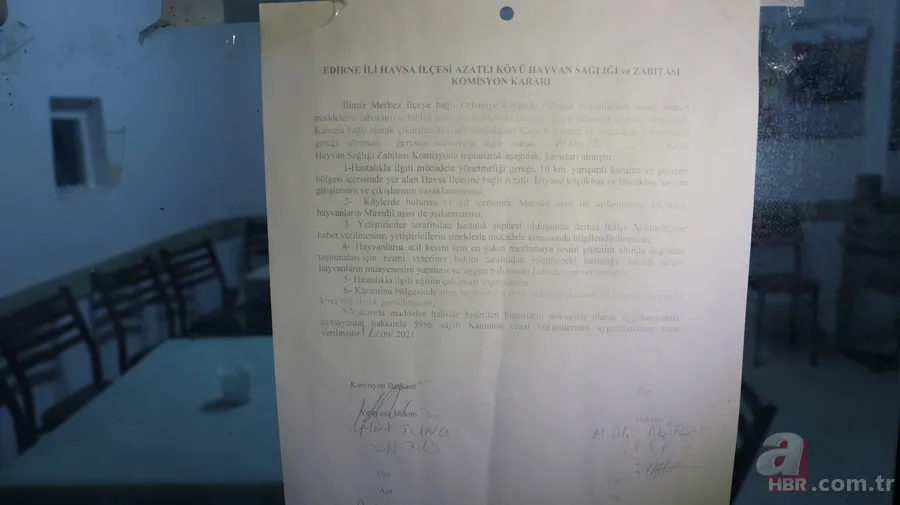 Edirne’de kan emen sinekten bulaşan ‘mavi dil’ hastalığı 8 köyü kapattı 5