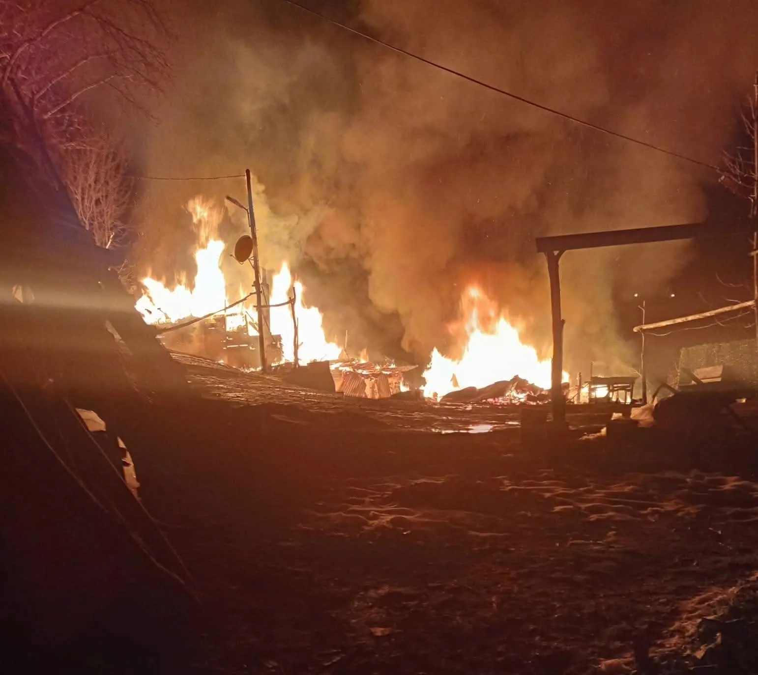 Ordu'da evi yanan adam ağaca asılı halde ölü bulundu