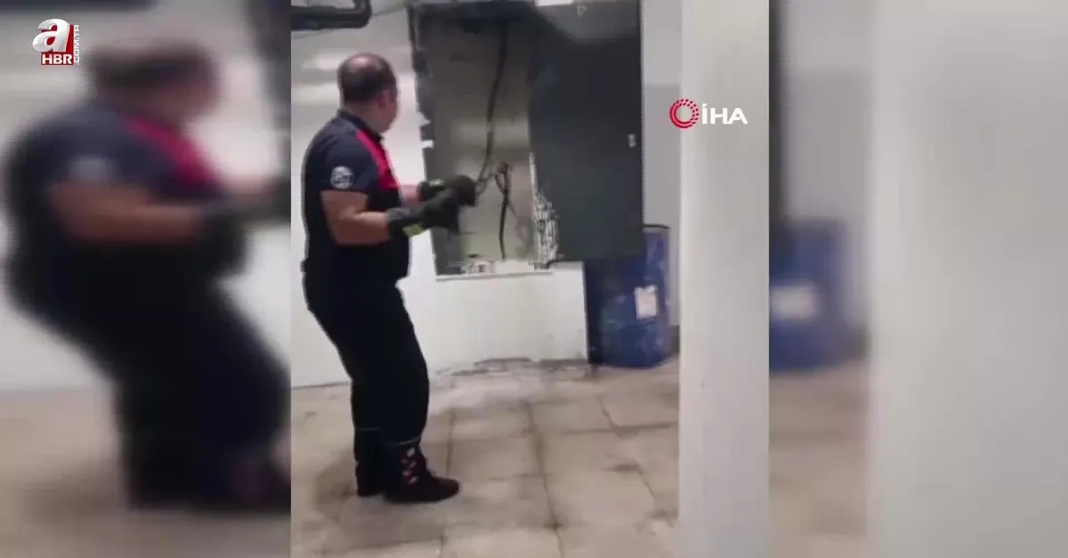 Kazan dairesinde yılan paniği