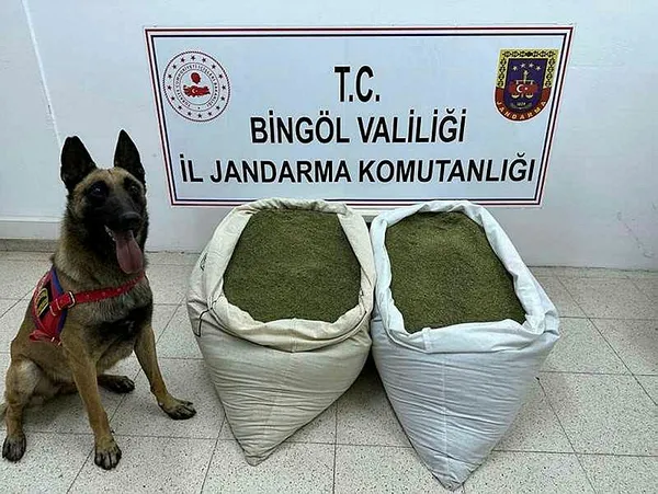 bingolde-operasyon-45-kilogram-esrar-ele-gecirildi-1686580500504.jpg Bingöl'de operasyon: 45 kilogram esrar ele geçirildi - 1