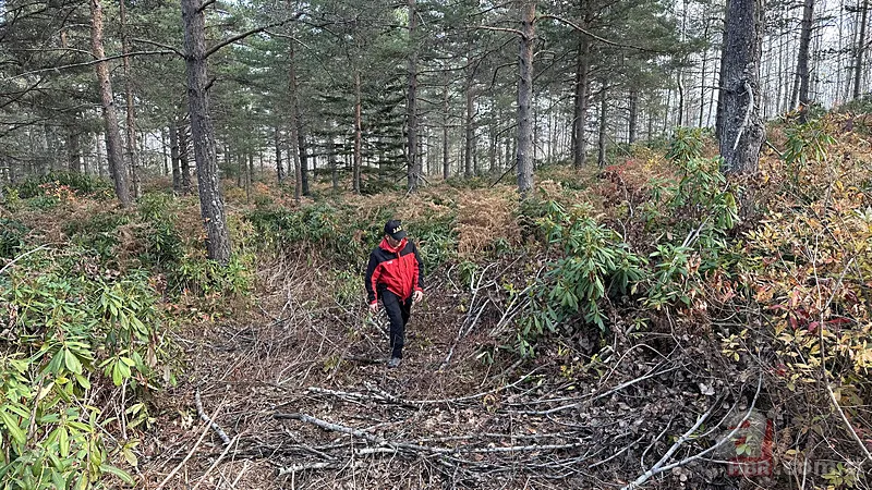 Kastamonu'da kayıp anne oğulun cansız bedeninin bulunmasında dikkat çeken detay! O kuşu takip etmişler 13