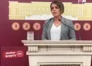 HDPli terör sevici vekilden küstah sözler!
