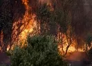 Yangın bölgelerinde hava ne zaman serinleyecek?