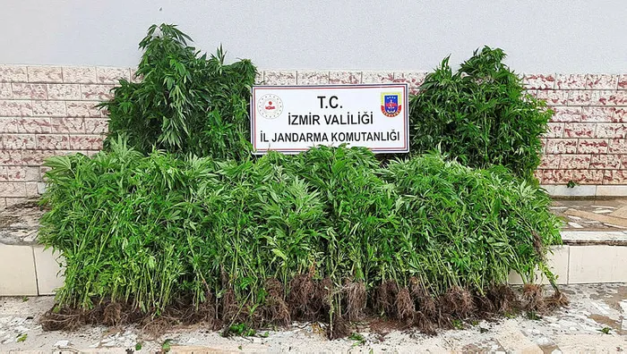 Jandarmadan zehir tacirlerine darbe: 16 gözaltı - 3